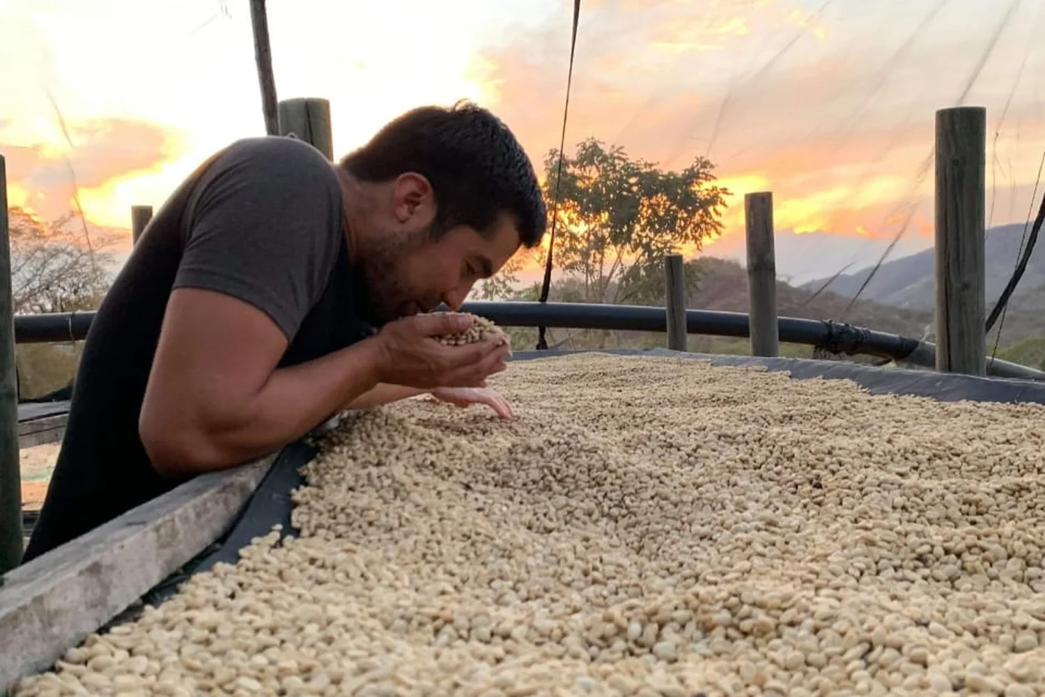 Abner Samuel Zavala, Cup of Excellence producer in Nicaragua, Nueva Segovia